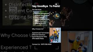 Pest Control Services Call0970 536 4939 youtubeshorts foryoupageofficiall pestcontrol fyp [upl. by Camus]