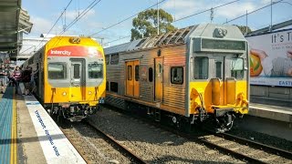 Transport for NSW Vlog No782 Blacktown part 2 [upl. by Eniamraj427]