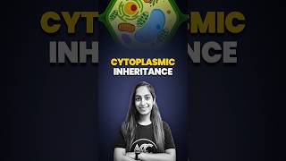 Cytoplasmic Inheritance [upl. by Elitnahc142]