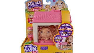 Little Live Pets Mama Surprise Minis Lil Bunny Unboxing Review [upl. by Acireed653]