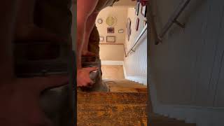 Refinishing stair treads woodfloors staining satisfying Woodworking BeforeAndAfter Restoration [upl. by De]