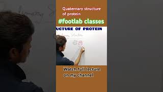 Quaternary structure of protein  structure of protein footlab classes [upl. by Nimsay]