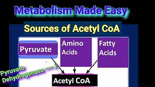 Sources of Acetyl CoA Metabolism Made Easy [upl. by Justinian]