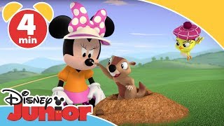 Musse och Racergänget  Glada hjälpen och golftävlingen  Disney Junior Sverige [upl. by Magbie532]