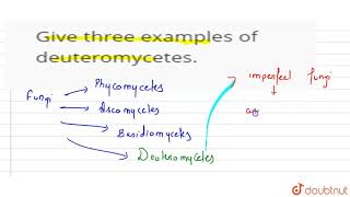 Give three examples of deuteromycetes [upl. by Menides]