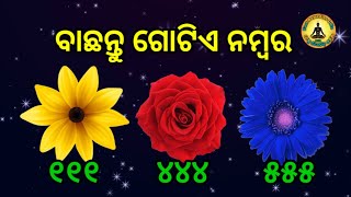 Choose A Number Know Your Horoscope  Astrology  Anuchinta Odia  Rashifala [upl. by Holey]