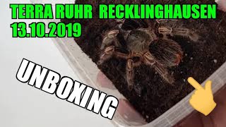 Terra Ruhr 13102019  UNBOXING [upl. by Kavita245]