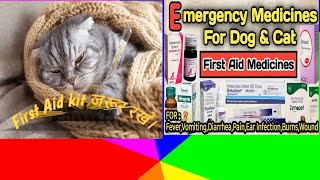 puppy new bed n cat hypothermia treatment trending dog cat shorts vlog video animals pets [upl. by Enirok254]