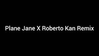 Plane Jane X Roberto Kan Remix Slowed and Reverb [upl. by Yelyk]