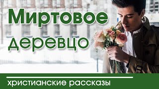 🔴ОЧЕНЬ ИНТЕРЕСНЫЙ РАССКАЗ quotМиртовое деревцо Гансquot  Интересный христианский рассказ [upl. by Essirahc]