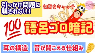 『耳の構造』は語呂合わせで！引っかけ問題で騙されない覚え方【衛生管理者試験✳︎合格への近道】 [upl. by Ahaelam]