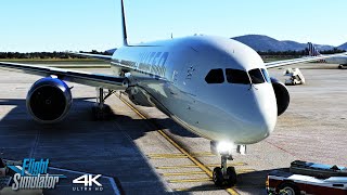 A Real Simulation  United Airlines 78710  Newark New Jersey ✈ Athens Greece  A MSFS Experience [upl. by Einnig]