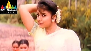 Suryudu Video Songs  Selayetiki Video Song  Rajasekhar Soundarya  Sri Balaji Video [upl. by Hnid688]