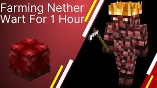 Is Farming Nether Warts Worth It on Hypixel Skyblock OUTDATED [upl. by Valeta581]