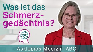 Was ist das Schmerzgedächtnis  Medizin ABC  Asklepios [upl. by Trimble]