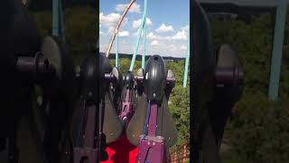 Six Flags Dare Devil Dive ride Top speed 53mph sixflags adventure fun rollercoaster shorts [upl. by Weksler]