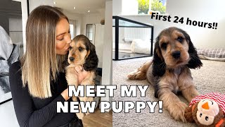 PICKING UP MY NEW COCKER SPANIEL PUPPY FIRST 24 HOURS  vlog [upl. by Ameerak338]