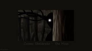 Cosmo Sheldrake  The Moss Slowed [upl. by Anurag]