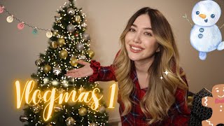 Pema 1Million  me ne fund erdhi per ta zbukuruar🎄  Vlogmas 1 ADISA GJO [upl. by Jenine]