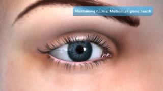 Importance of Meibomian Gland Health [upl. by Cristionna]