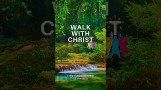 Walk With Christ  the new gathering hymn  httpsyoutubeqr3gDbn1umE shorts [upl. by Garvy]