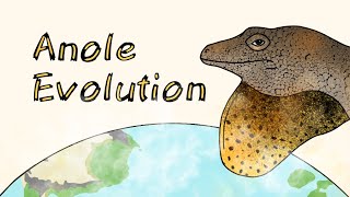 AnolisWorld of Anoles EP1 Introduction [upl. by Ardel537]