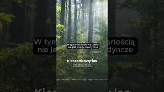 🌳🏢 Mikrolasy w polskich miastach Są wielkości boiska do koszykówki [upl. by Gustafsson]