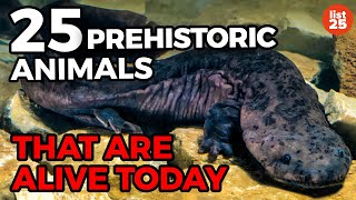 25 Prehistoric Animals That Are Alive Today [upl. by Llenna]