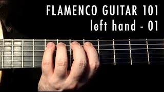 Flamenco Guitar 101  01  Left Hand 01 [upl. by Yasui809]