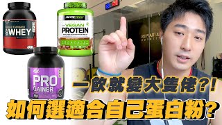 如何選擇適合自己蛋白粉？一飲就變肌肉男？！回答連登網友問題 [upl. by Eolcin]