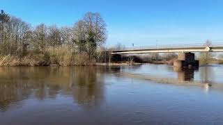 Hochwasser VerdenAller 27012024 Alleruferweg [upl. by Aloysius]