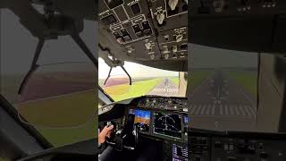 Boeing 787 Dreamliner Landing  Cockpit View aviation [upl. by Erkan]