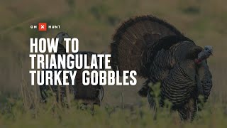 How To Triangulate Turkey Gobbles [upl. by Erminia959]