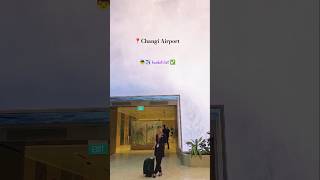 International layover🇸🇬 vistara ✈️💜 cabincrew shortsfeed trending trendingreels vlog airport [upl. by Lipsey]