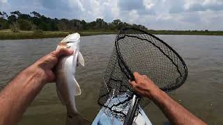 Florida Fishing in Flagler ICW [upl. by Kilroy]