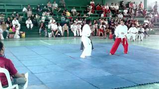 KYOKUSHIN vs SIKARAN [upl. by Lohcin]