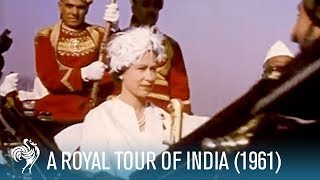 Top 10 Royal Palaces in India  HD [upl. by Tadeas]