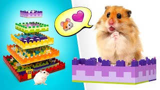 LIVE How To Make Coolest Hamster Maze  FUN DIY🐹🐀 [upl. by Annawahs36]