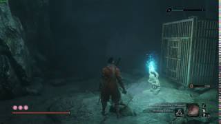 Sekiro Shadows Die Twice  Doujun and Jinzaemon Fight  Easy Method [upl. by Lacie132]