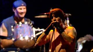 Red Hot Chili Peppers  Californication Live At Slane Castle [upl. by Deidre69]