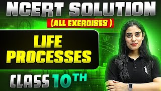 Life Processes  Complete NCERT WITH BACK EXERCISE in 1 Video  Class 10th Board [upl. by Elaen415]