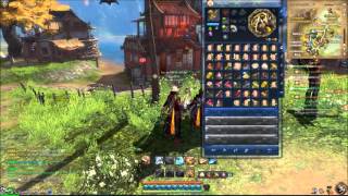 10 hilfreiche Tipps zu Blade and Soul [upl. by Atinaj]