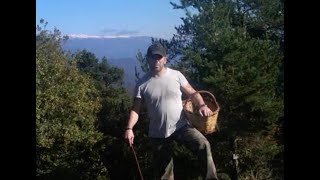 BOLETS EN EL BERGUEDÀ I LA CERDANYA [upl. by Surad]