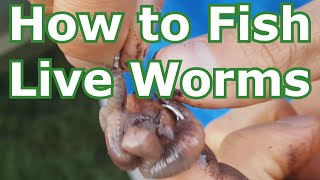 How to Fish with Live Worms Setup  Hooking Tips  Lakes Rivers Creeks Ponds [upl. by Woodhouse488]