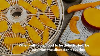 How to Make the Most of Your Nesco Food Dehydrator [upl. by Marena]