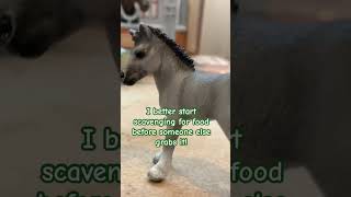 😂😂 schleich horses unboxing schleichhorses models modelhorses horse [upl. by Lelia]