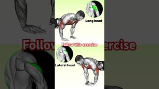 quotUnlock Maximum Strength Long Head Lateral Head Tricep Exercises You MUST Try 🔥💪quot🥵 shorts video [upl. by Olney]