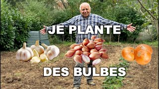 TUTO COMPLET pour Planter AIL🧄 OIGNON 🧅 et ÉCHALOTE CONSEILS ASTUCES  100 NATUREL [upl. by Odrautse757]