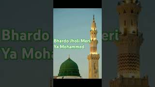 Bhardo Jholi Meri Ya Mohammedviralshorts [upl. by Ajroj]