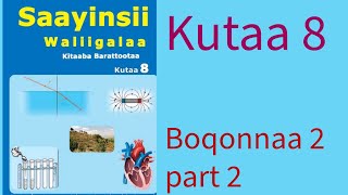 Saayinsii waliigalaa kutaa 8 ffaa boqonnaa 2 Part 2 Molakiyuulota [upl. by Vershen]